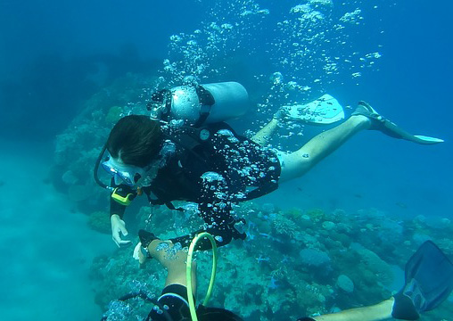 Underwater diver (nat10100, CC0 Public Domain)